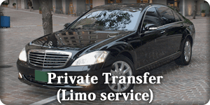 Private Transfer(Limo service)
